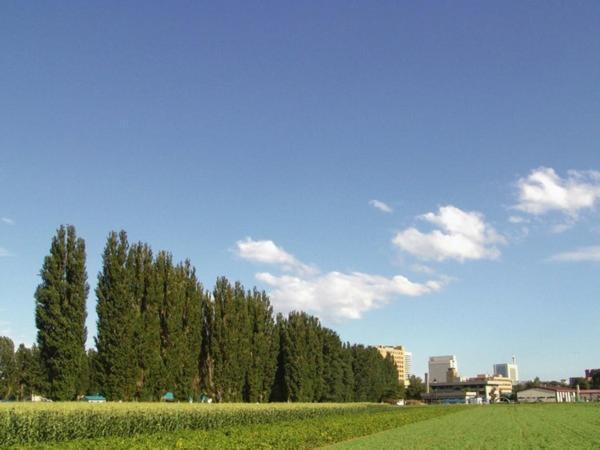 Sapporo Clark Hotel מראה חיצוני תמונה